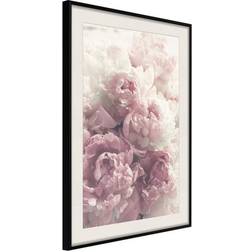 Arkiio Affisch Delicate Peonies [Poster] 20x30 Poster